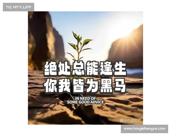 逆境中崛起的五大战斗策略助你突破困境走向成功 逆境中崛起的五大战斗策略助你突破困境走向成功