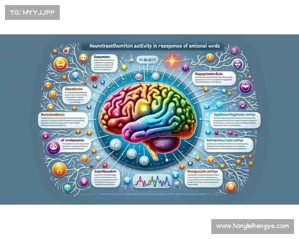 巴舒亚伊语言背后的秘密揭示与文化探索